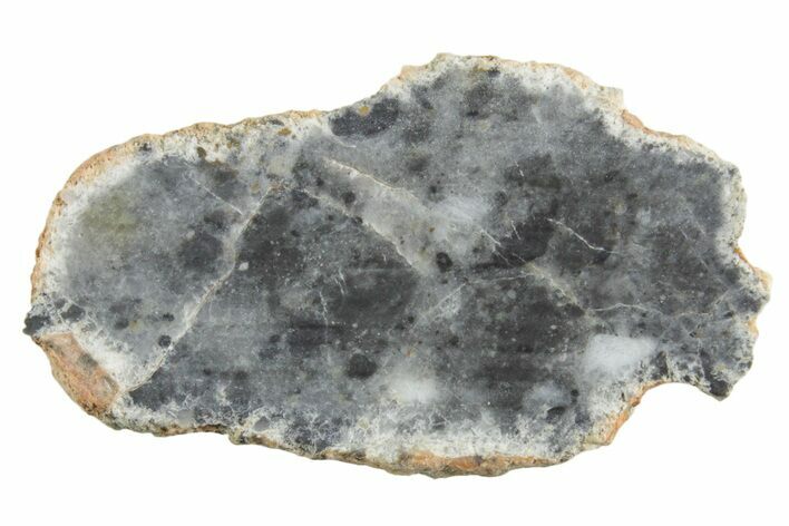 Lunar Meteorite ( g) Slice - Bechar #348177